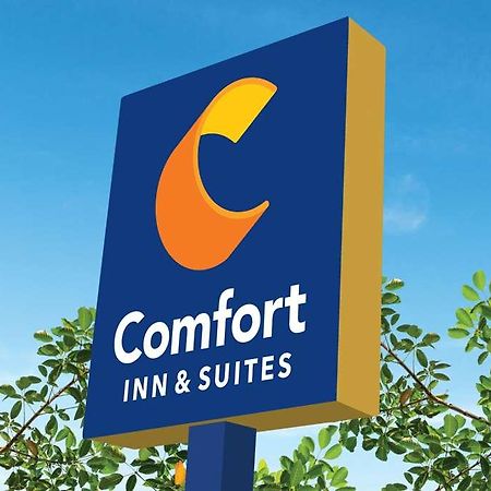 Comfort Inn & Suites Newark Liberty International Airport Extérieur photo